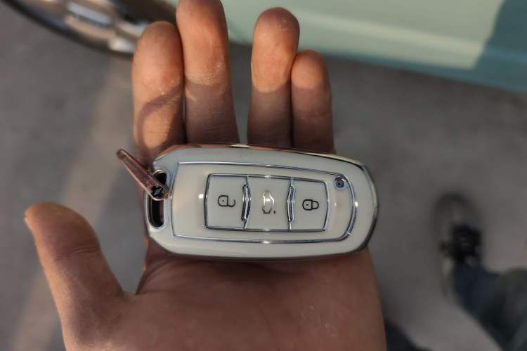 Used  Panda 2024 Panda Mini 200km Endurance Bear