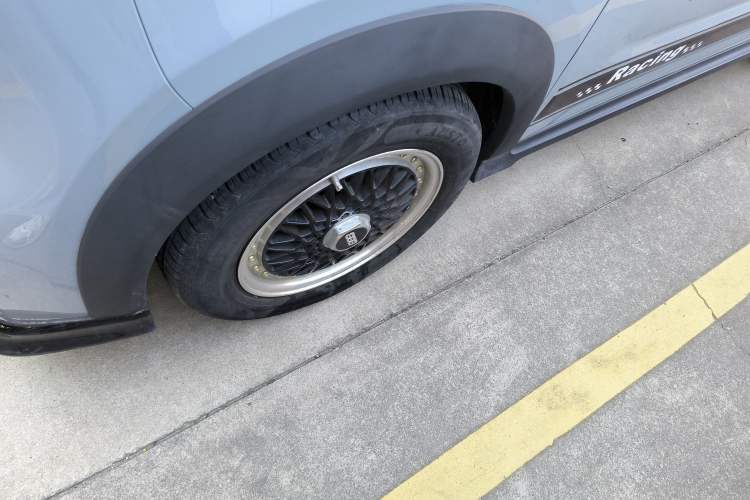 Used  Panda 2024 200km Panda Kart