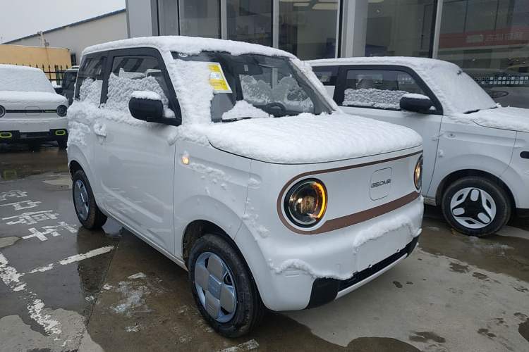 Used  Panda 2024 Panda Mini 200km Endurance Bear
