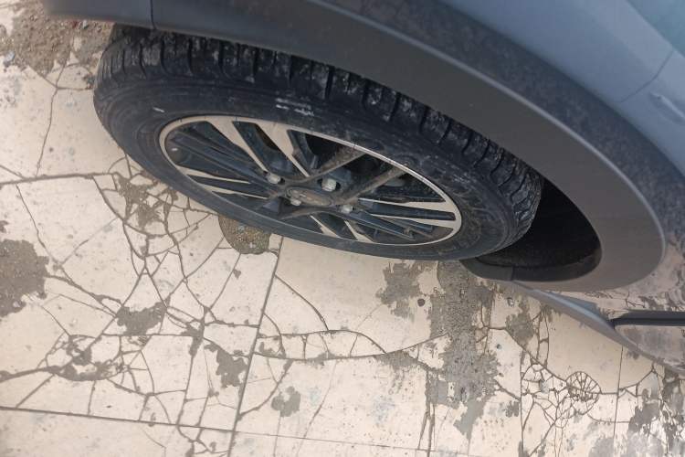 Used Chery Little Ant 2022 Sweet Pink Edition Low-Sugar Version Lithium Iron Phosphate 30 kW 301 km