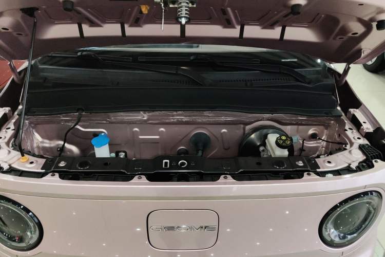 Used  Panda 2023 Panda Mini 200km Endurance Bear
