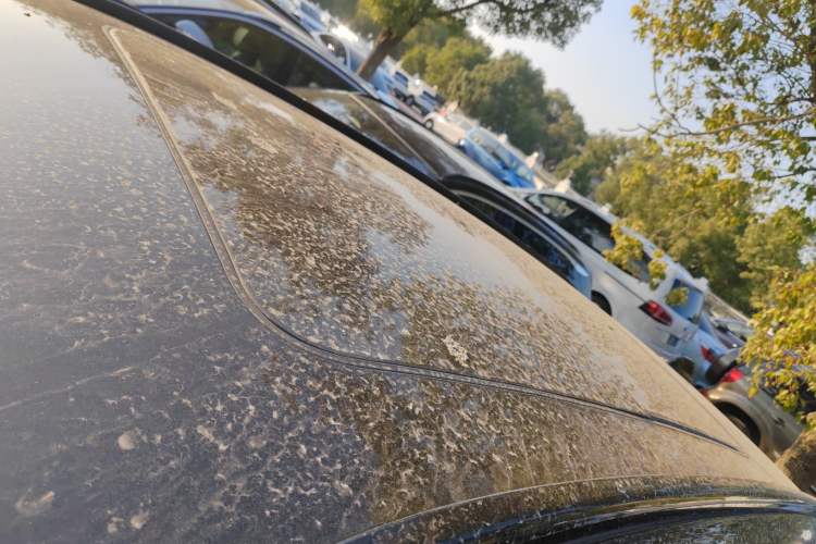 Used Nio ES8 2020 580 km Range 7-Seater Version