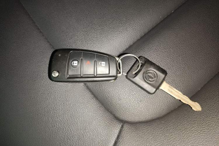 Used Dongfeng Ruichi 2023 2.4T Diesel Two-Wheel Drive Base Version YCY24165-61
