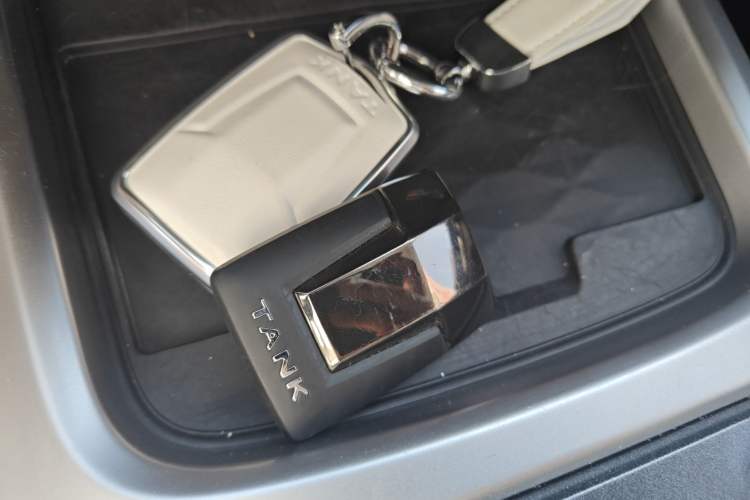 Used Tank 300 2023 Off-Road Edition 2.0T Conqueror
