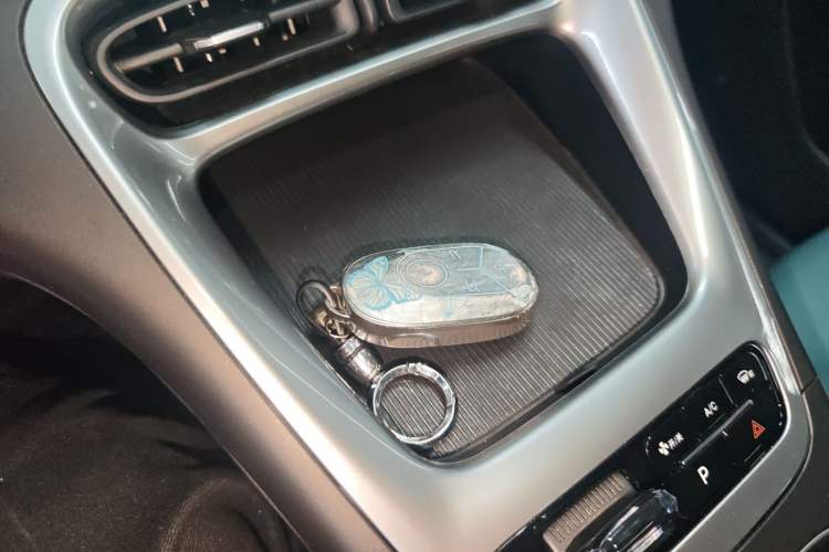 Used  Geome 2025 410 km Free Version
