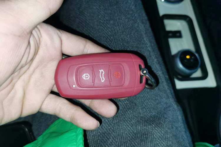 Used  Panda 2024 Panda Mini 200km Longteng PRO Edition