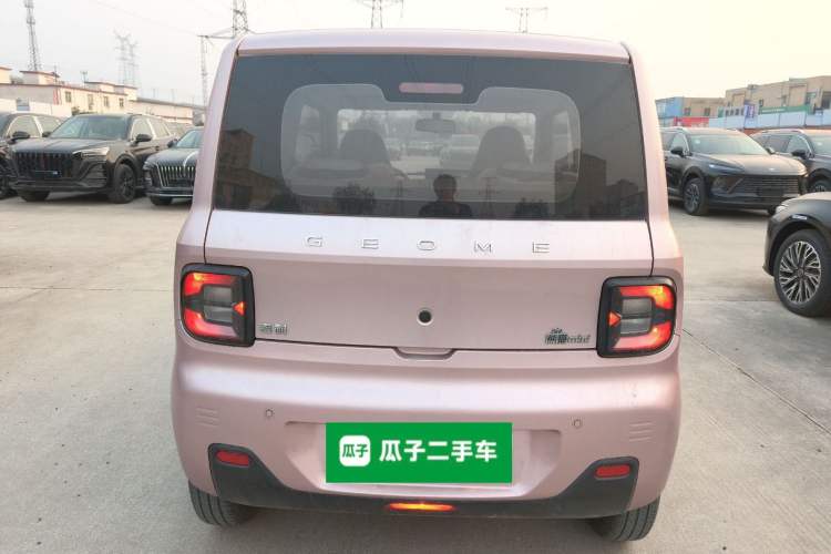 Used  Panda 2024 Panda Mini 200km Endurance Bear