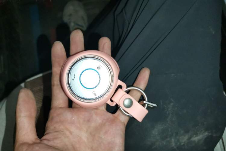 Used NETA V 2021 Witch Edition
