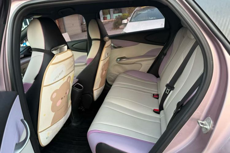 Used BYD Dolphin 2021 405 km Free Version