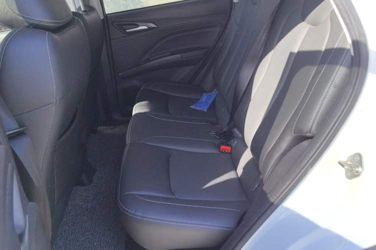 Used NETA V 2022 Chao 300 Lite Lithium Iron Phosphate
