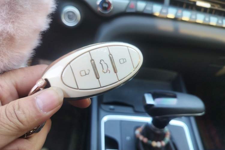 Used Bestune T55 2023 1.5T Automatic Leap Model