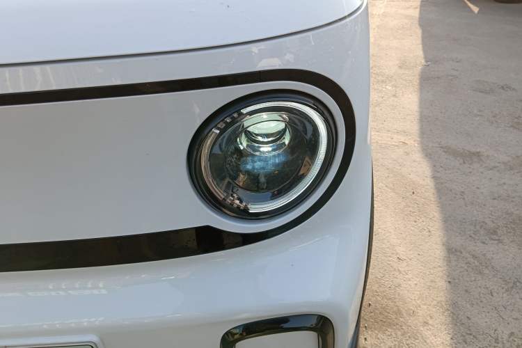 Used  Panda 2024 200km Panda Kart
