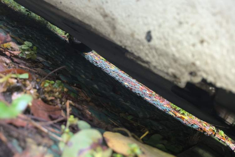 Used Volkswagen Lamando 2024 Lingdu L 200TSI DSG Trendy & Spicy Edition
