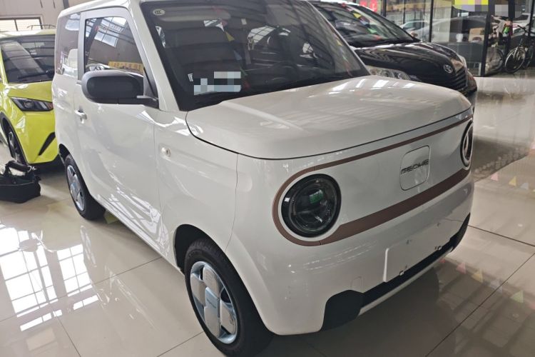 Used  Panda 2023 Panda Mini 200km Endurance Bear

