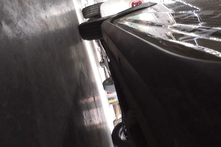 Used  Panda 2024 200km Panda Rider
