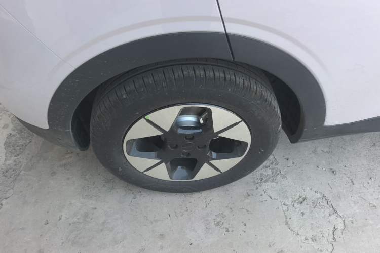 Used  Geome 2025 410 km Free Version
