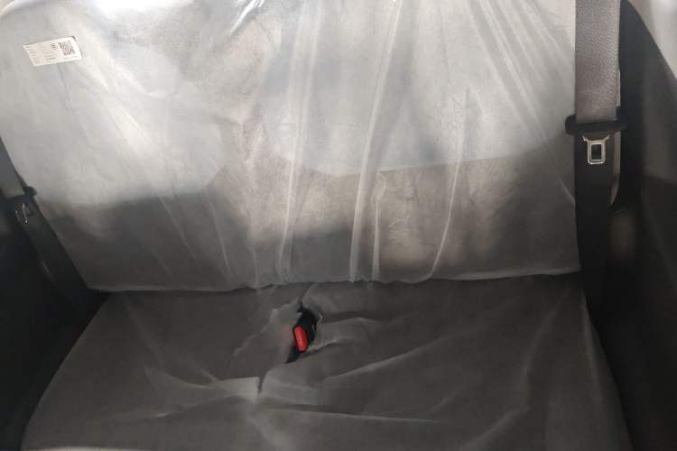 Used  Panda 2024 Panda Mini 200km Endurance Bear
