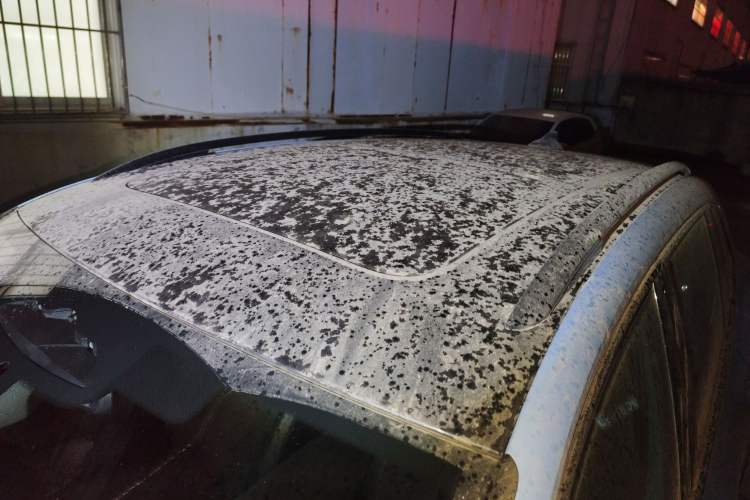 Used Volkswagen Tiguan L 2024 PRO 380TSI Four-Wheel Drive R-Line Prestige Edition
