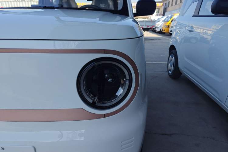 Used  Panda 2024 Panda Mini 200km Endurance Bear