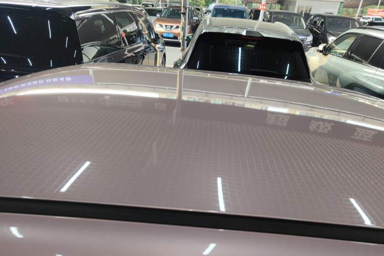 Used  Lumin 2023 301km Honey Dew Edition
