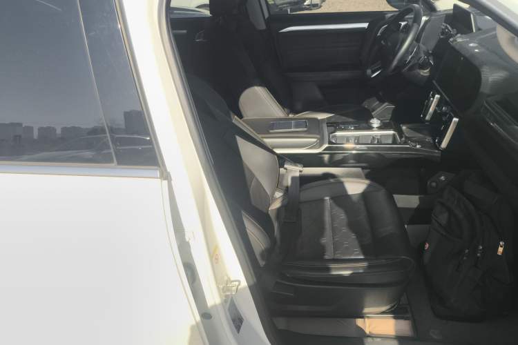 Used Haval DARGO 2021 2.0T DCT 4x4 Chinese Rural Dog Edition
