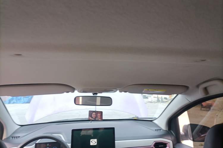 Used SOL E10X 2022 Flower Fairy Design Four-Leaf Clover
