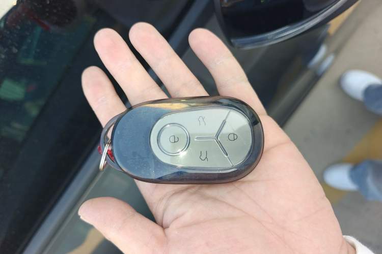 Used  Geome 2025 310km Youth Edition
