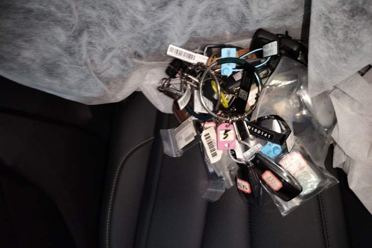 Used Geely Auto Monjaro L 2024 2.0TD DCT EVO Two-Wheel Drive Long-Range Version