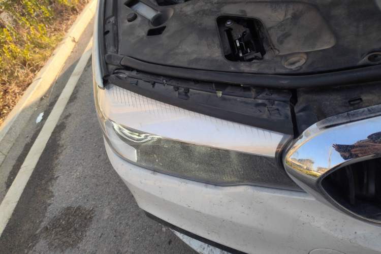 Used BMW 5 Series 2018 Restyled 530Li Leading Edition M Sport Package