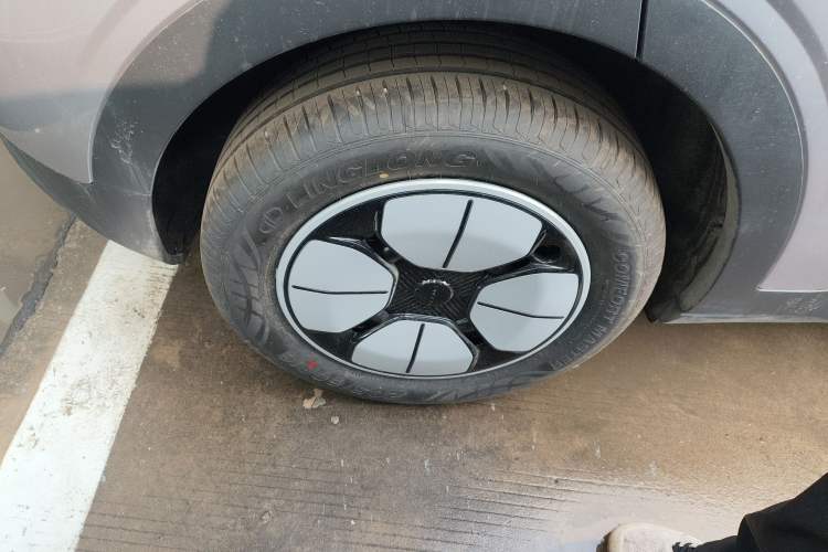 Used  Geome 2026 Model 310km Youth Edition
