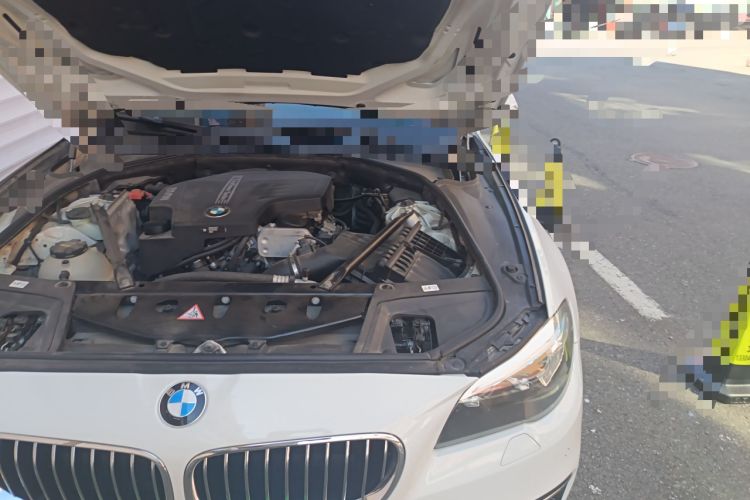 Used BMW 5 Series 2014 525Li Luxury Design Package
