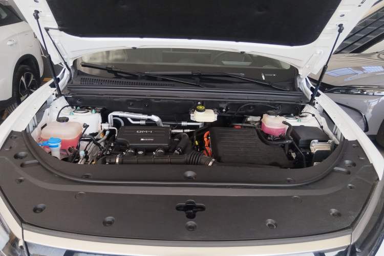 Used BYD Sealion 05 DM-i 2025 DM-i Smart Drive 115KM Flagship Model
