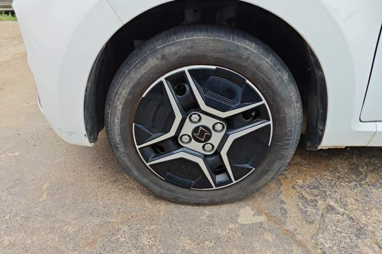 Used SOL E10X 2022 Flower Fairy Design Four-Leaf Clover