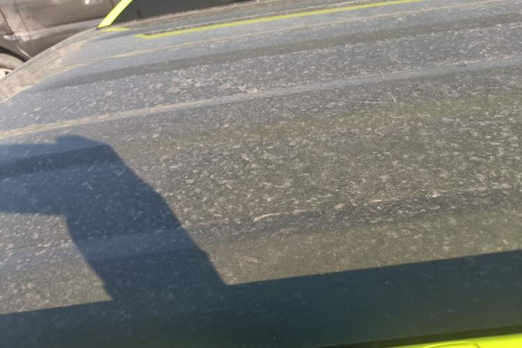 Used  Panda 2025 210km Panda Rider
