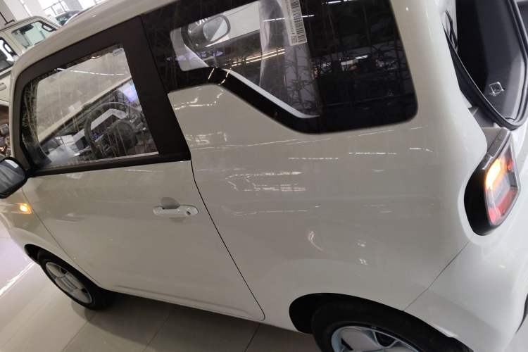 Used  Panda 2024 Panda Mini 200km Endurance Bear
