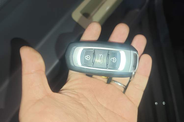 Used  Panda 2024 200km Panda Rider