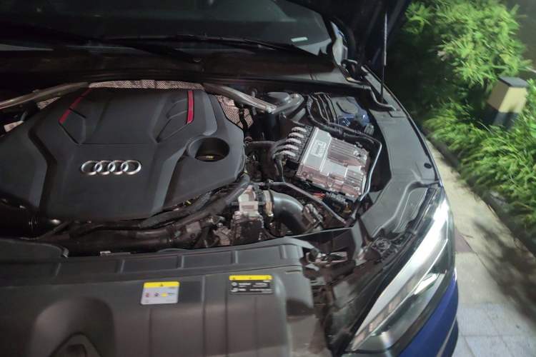 Used Audi S5 2023 S5 3.0T Coupe
