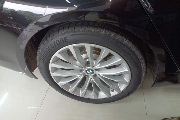 Used BMW 5 Series New Energy 2020 530Le Luxury Package
