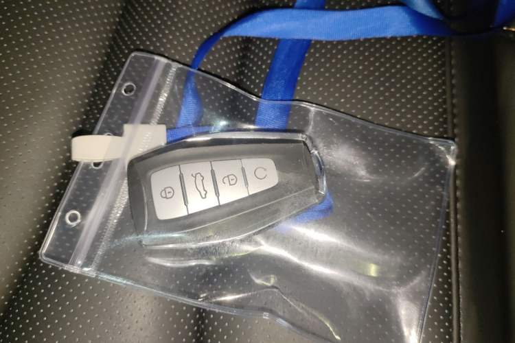 Used Geely Auto Monjaro L 2024 2.0TD DCT EVO Two-Wheel Drive Long-Range Version
