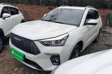 Used Haval H6 Coupe 2018 Red-Label 1.5T Automatic Two-Wheel Drive Luxury Model