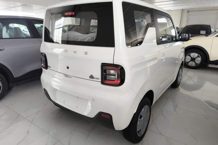Used  Panda 2024 Panda Mini 200km Endurance Bear
