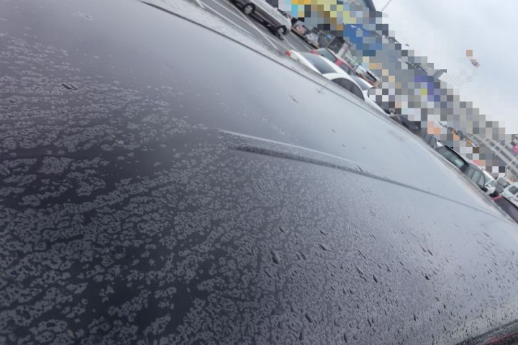 Used FORTHING Lingzhi 2020 M5L 1.6L Utility Model