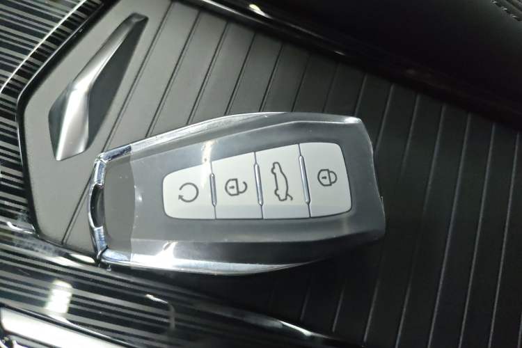 Used Geely Auto Monjaro L 2024 2.0TD DCT EVO Two-Wheel Drive Long-Range Version
