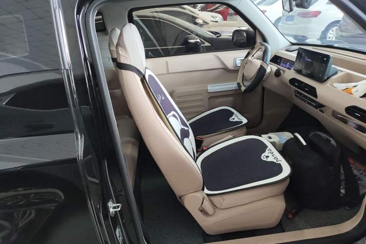 Used  Panda 2024 200km Panda Kart
