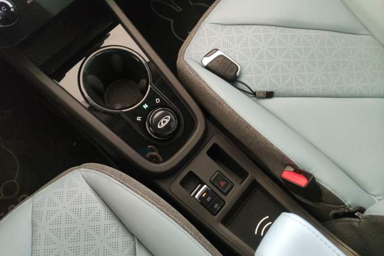 Used Chery Little Ant 2023 251km True Love Edition Lithium Iron Phosphate
