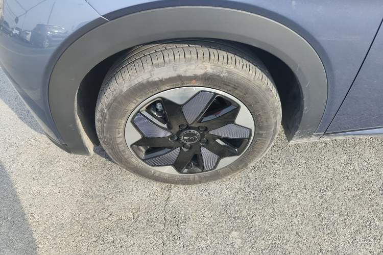 Used BYD Dolphin 2025 420km Free Edition