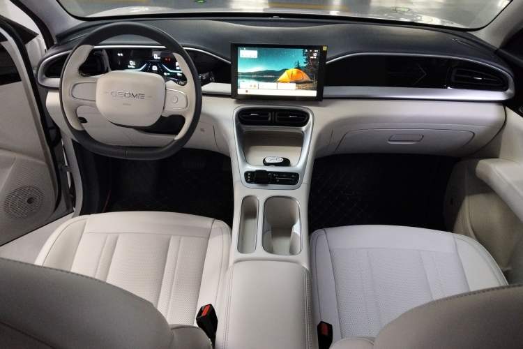 Used  Geome 2025 310km Youth Edition
