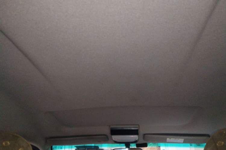 Used FORTHING Lingzhi M5 2020 Long-Range Luxury 7-Seater Model
