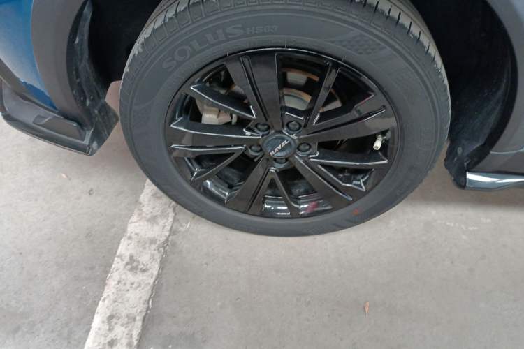 Used Haval LHERY 2021 High-Performance Version 1.5T Golden Rabbit
