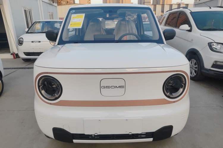 Used  Panda 2024 Panda Mini 200km Endurance Bear